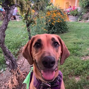 Meet your Posher, Florence